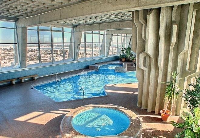 Les Dauphins - Piscine panoramique Pool